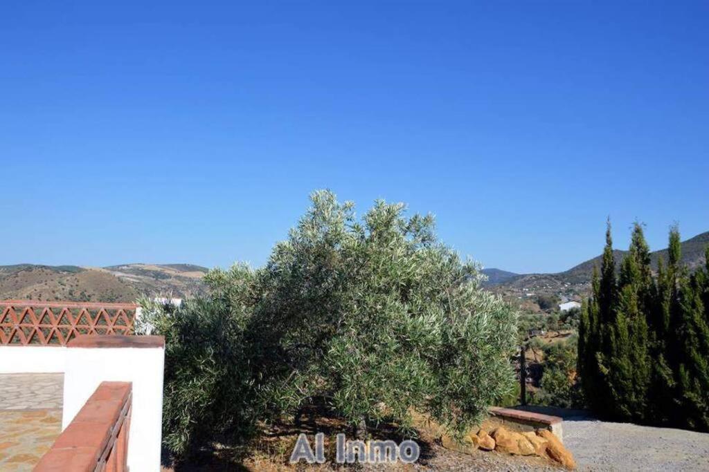 Las Palmeras - Ein Stueck Vom Paradies - Behagliches Haus Mit Pool Algodonales Luaran gambar